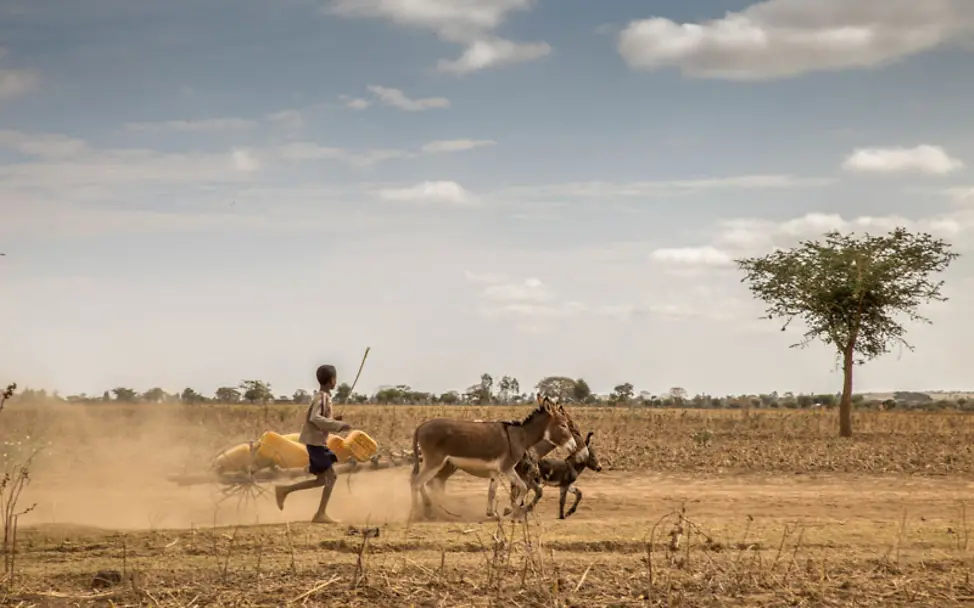 Äthiopien: Junge und Esel laufen über ausgedörrtes Land | © UNICEF/Ayene Dürre Äthiopien: Ein Junge läuft neben einem Esel-Gespann über ausgedörrtes Land. Überall fehlen Wasserstellen.