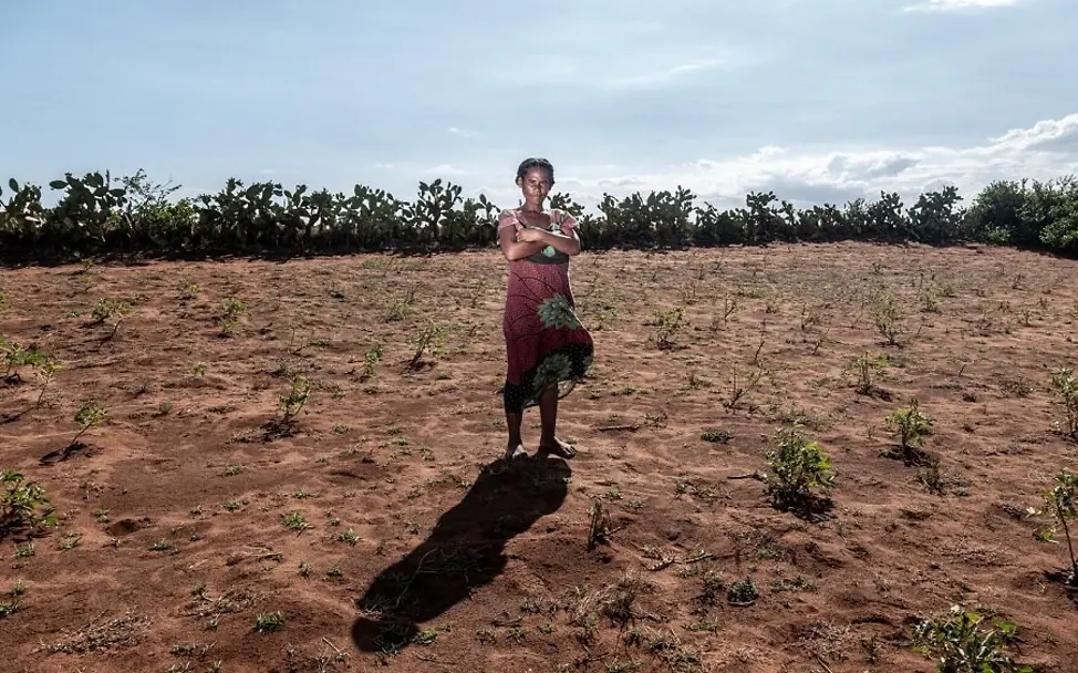 Seit einem Jahr konnte nicht mehr geerntet werden. | © UNICEF/Andrian Seit einem Jahr konnte nicht mehr geerntet werden.