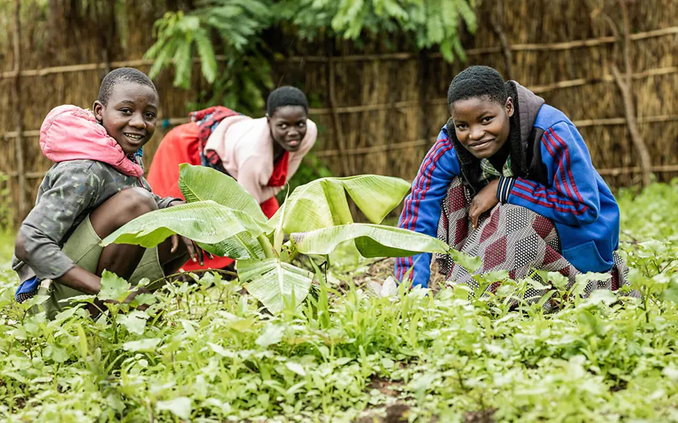 Malawi: Living Schools. | © © UNICEF/PLUS CREATIONS Malawi: Living Schools.