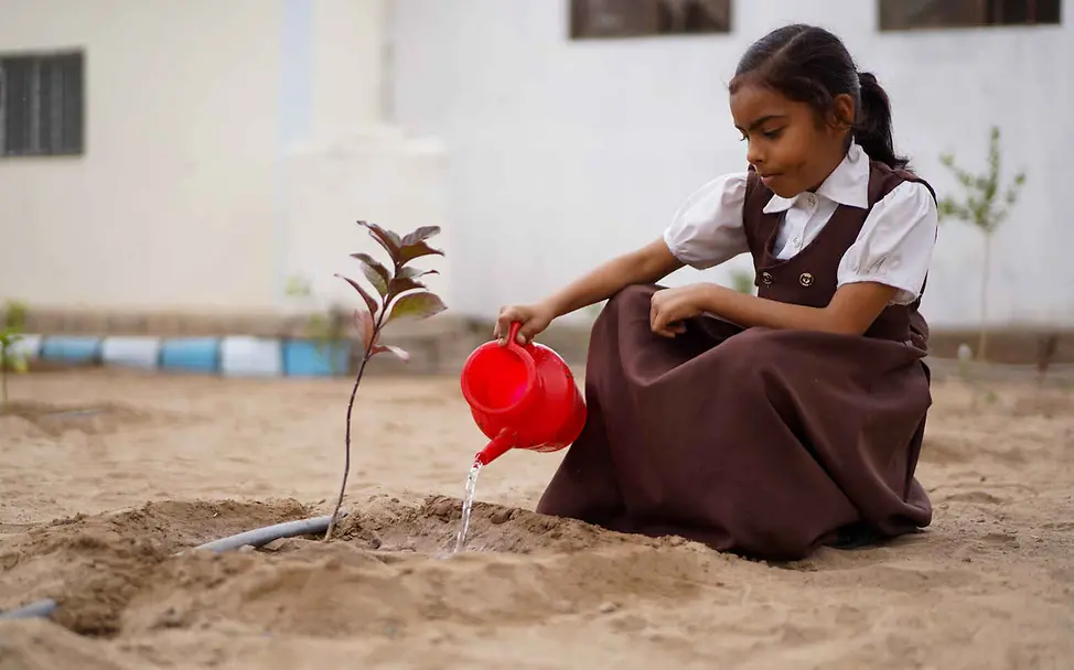 Klimaschutz einfach erklärt: Ein Mädchen gießt eine frisch eingepflanzte Pflanze.