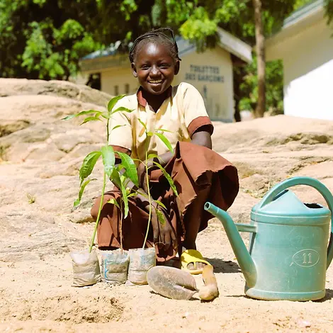 Klimawandel für Kinder erklärt: Ein Kind pflanzt Setzlinge ein.